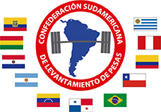 Inscribite como Voluntario para el Sudamericano 2019