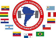 Inscribite como Voluntario para el Sudamericano 2019